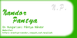 nandor pantya business card