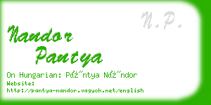 nandor pantya business card